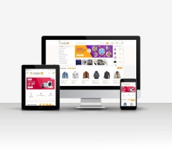 Profesyonel E-Ticaret G6